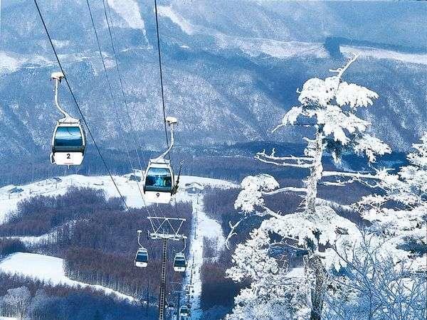 Shiobara Onsen Yama No Yado Shimofujiya Hotel Насушиобара Екстериор снимка