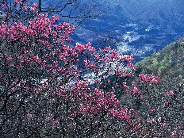Shiobara Onsen Yama No Yado Shimofujiya Hotel Насушиобара Екстериор снимка