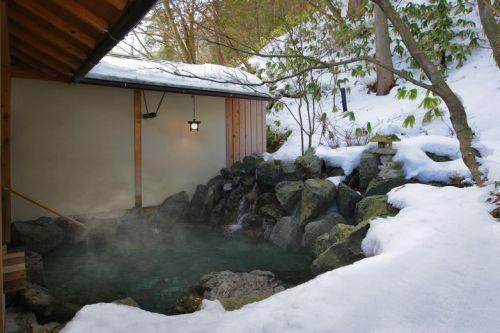 Shiobara Onsen Yama No Yado Shimofujiya Hotel Насушиобара Екстериор снимка